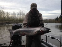 I Phone 7-21-2015 993