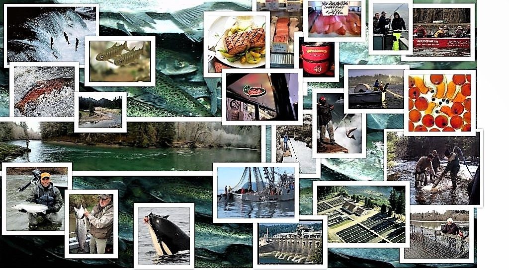 Northwest Fisheries Enhancement – NWFE