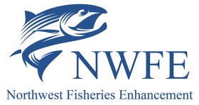 NWFE_Logo__1_84472